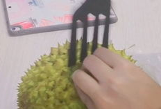 开榴莲视频,香气四溢，揭秘开榴莲全过程